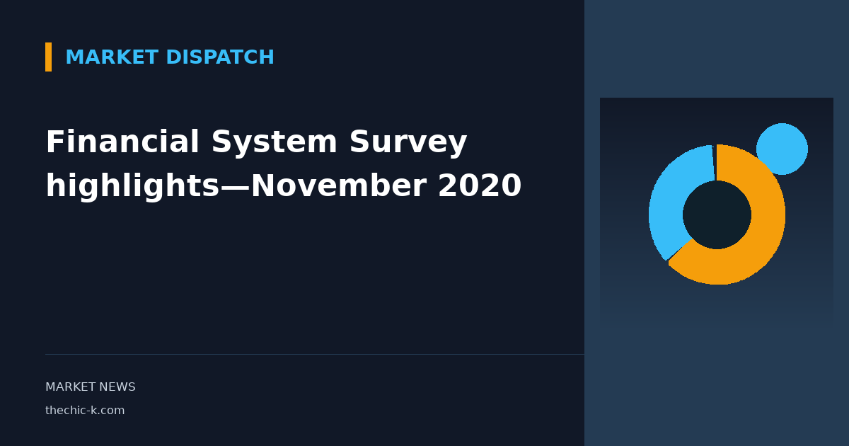 Financial System Survey highlights—November 2020